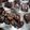 renee's cooksnap of when they made Hot Cocoa Fudge.