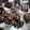 renee's cooksnap of when they made Hot Cocoa Fudge.