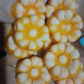 Cooksnap dari Tri Utami untuk resep Putu ayu menul2 empuk lembut☺️