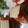 Cooksnap de Marie Thé sur la recette Tartines espagnoles