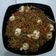 Cooksnap dari Oliv Firma Zamzami untuk resep Mie goreng keriting pedas mudah