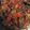 Cooksnap dari Vira Agustin untuk resep Dendeng Balado