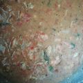 El cooksnap de Rolando Guevara cuando hizo Camarones al Ajillo.