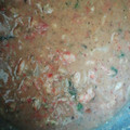 El cooksnap de Rolando Guevara cuando hizo Camarones al Ajillo.