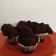 Cooksnap dari rianacun untuk resep Brownies Kukus Tepung Beras