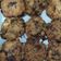 Cooksnap dari Indah Syamsi untuk resep Soft cookies sederhana