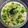 Darshana Patel's cooksnap of when they made ઘેંસ (ghesh recipe in gujarati).
