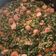 El cooksnap de Enrique Miguel Carnicero cuando hizo Huevos con espinaca.