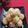 Lipika Das's cooksnap of when they made Besan sooji Ladoos.