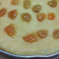 Cooksnap dari Mutia Khairani untuk resep Proll tape singkong (kukus)