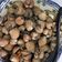 Cooksnap Nur Dhunaa AB Maleq semasa beliau membuat Kerabu pucuk paku & kerang.