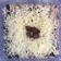 Cooksnap dari Phigaro Phigaro untuk resep Chesse cake keju choco cips