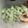 Cooksnap dari Rina Rosyalina untuk resep Es goreng jadul alias es potong