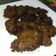 Cooksnap dari Akhirunnisa Malik untuk resep Empal daging sapi enak, praktis ala my kitchen #kita berbagi