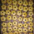 Cooksnap dari Syafa Syifa untuk resep Kukis Santan