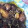 Cooksnap : eshaa semasa beliau membuat Ayam masak tumis serai.