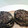 El cooksnap de quesoy cuando hizo Morcilla de Burgos frita.