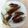 Leonella's cooksnap of when they made Padron peppers.