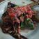 Cooksnap dari Han Dewi untuk resep Bandeng Asap Sidoarjo Bumbu Cabe