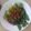 Cooksnap dari Nuechan untuk resep Pokcoy Siram Bawang Putih / Pakcoy Siram Saos Tiram