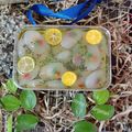 Cooksnap dari Rinna Ramadhayanty Panjaitan untuk resep Manisan Kolang Kaling Isi Buah Khas Medan