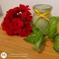 Cooksnap Dagmara Baran/Coś smacznego i niedrogiego z czasów, kiedy przygotował Tydzień zielony - dodaj Cooksnap swojego zielonego dania! 🥬 🥦 🍏.