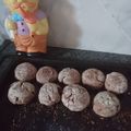 El cooksnap de Delma Delgado cuando hizo Galletitas de chocolate con harina integral.