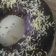 Cooksnap dari Vienty Frianto untuk resep Bolu Pisang Ekonomis ala Umik Azzam