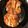 Brinn Moreno's cooksnap of when they made Bacon Wrapped Pork Chops.