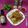 Bindi Vora Majmudar's cooksnap of when they made વેજ સ્પ્રીંગ રોલ (Veg.Spring Roll Recipe In Gujarati).