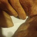 El cooksnap de Selly Mendez cuando hizo Tortas fritas súper tiernas.