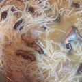 馮筱涵 的 肉燥芋頭米粉湯 cooksnap