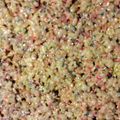 sugarbear92's cooksnap of when they made Let Them Eat Cake - Batter Rice Krispies Treats!.