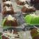 Cooksnap dari Anastasia Wattimury untuk resep Bolu kukus putih telur coklat pandan