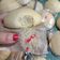 Cooksnap dari Reni Niervanam'z untuk resep Bakpao kukus Lembut