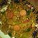 Cooksnap dari norma linda untuk resep Macaroni Tumis