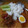 Cooksnap dari diana cholida untuk resep Krawu daging