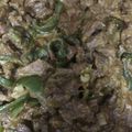 صورة من Fto Moon، شاركها بعد تجربة وصفة ساندويش اللحم بالكريمة والموزاريلا 🌯🍖