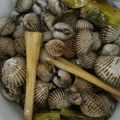 Cooksnap dari ellis.rusli untuk resep Kerang Dara Gurih Rebus#PR_RecookMasakanBerkuah