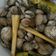 Cooksnap dari ellis.rusli untuk resep Kerang Dara Gurih Rebus#PR_RecookMasakanBerkuah