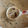 Cooksnap dari Tina Hasbie untuk resep Es Cincau Susu Creamy #prRamadhan_Takjil #PekanInspirasi