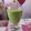 El cooksnap de Valentina Malay cuando hizo Jugo Verde.