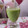 El cooksnap de Valentina Malay cuando hizo Jugo Verde.