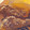 blairra117's cooksnap of when they made Classic Sardines on Toast.