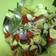 Cooksnap dari Kenar Helwah untuk resep Sambal Matah