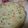 El cooksnap de Luciana cuando hizo Tarta de zapallitos.