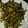 El cooksnap de Arantza cuando hizo 98.🌱Snack de edamame japonés🇯🇵.