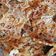 Cooksnap dari Shien Nie untuk resep Peye kacang home made, kriuk kriuk.