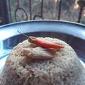 Cooksnap dari Ratih Indah Permatasari untuk resep Ayam KFC dg Rice Cooker