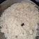 Faiza का कुकस्नैप जब उन्होंने जीरा राइस (Jeera Rice recipe in hindi) बनाया था।